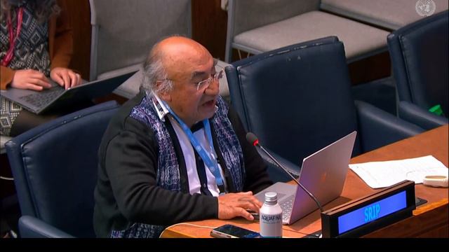 Спецдокладчик ООН по правам коренных народов. Permanent Forum On Indigenous Issues, 22nd Session