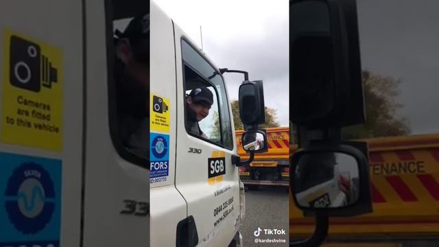 Старый енот