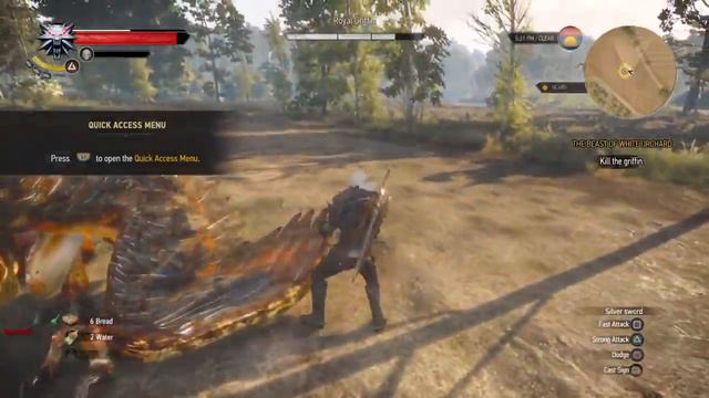 The Witcher 3  Wild Hunt Gameplay Walktrough Part7 -  Forage