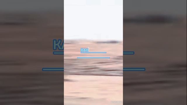 Гордитесь собой за то...