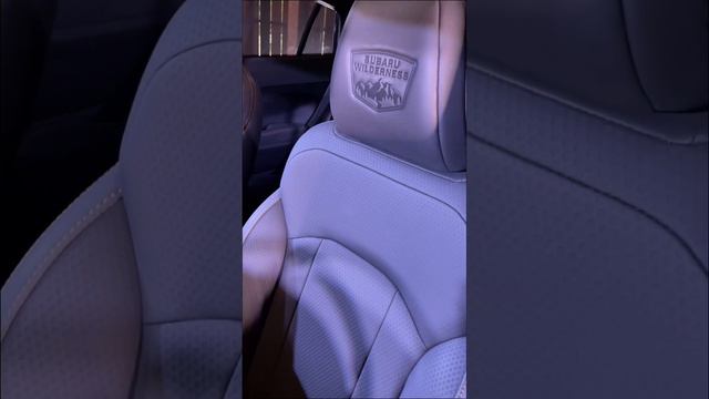 The Subaru Crosstrek Wilderness is an AFFORDABLE Off-Roader