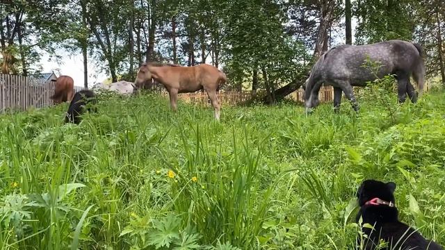 83693db1301c134c57c42b4da26c3c14