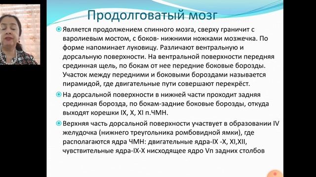Анатомия и физиология центральной и периодической нервной системы