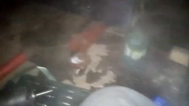 Ремонтная эволюция