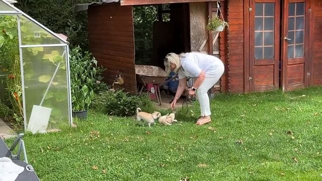 Мама с папой дома,я забрала родителей с аэропорта Франкфурт на Майне,мои покупки,готовлю обед ♥️