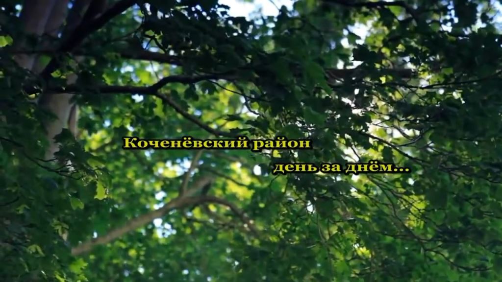 949ba1b6f4c6c48f47f54c454bd5d897