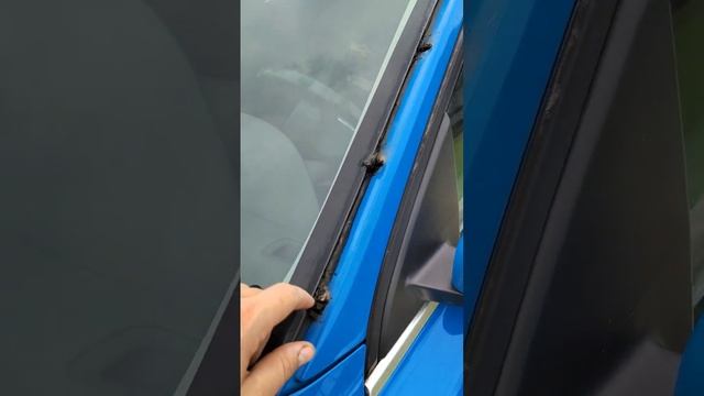 Спортивная Интуиция