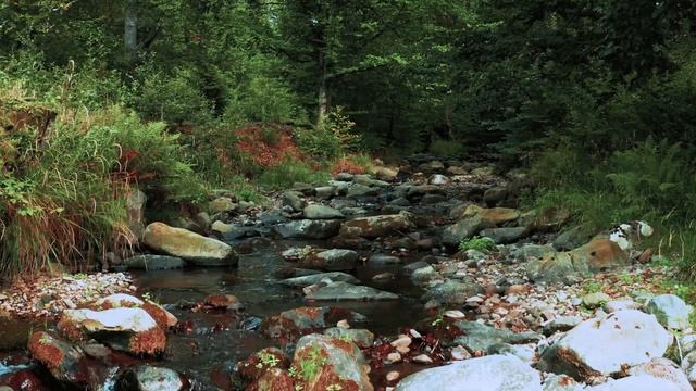 Самая красивая и нежная музыка для сердца и сосудов. Музыка Эдгара Туниянца.