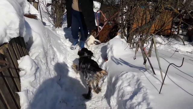 5cc2f6a518ac65e27dd8c1fc6ec19c13