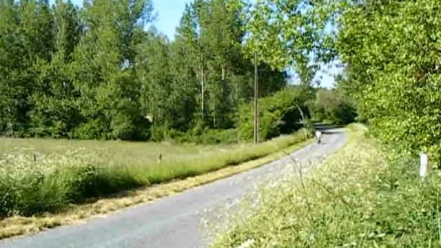 Honda Chaly In France 5