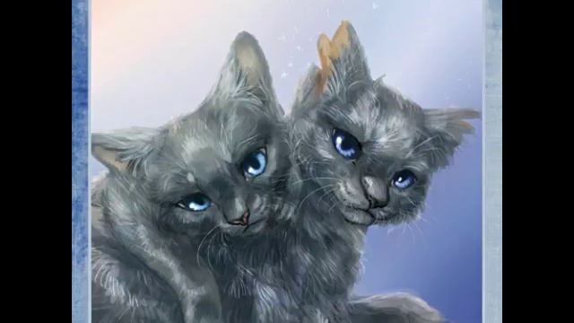♦Коты Воители♦Камень и Неведимка ♦
