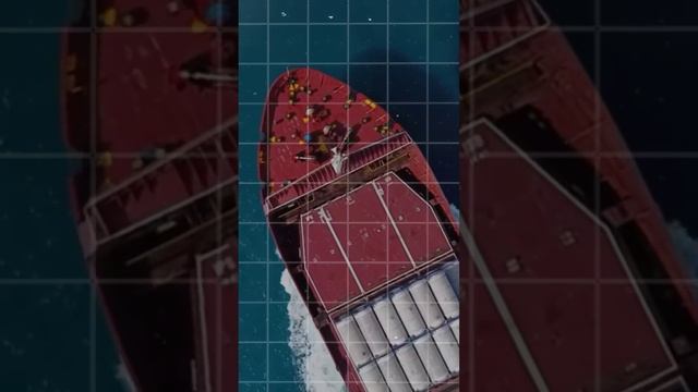 Как возить товар: карго или официально?