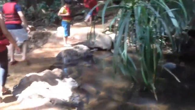 Dudhsagar | Waterfall | Dudhsagar Falls In Goa | Dudhsagar Tour