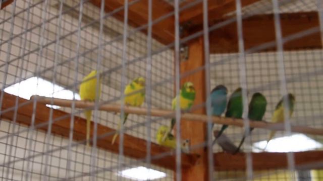 E4746f1923e53846bfa73a2d26f8ceee