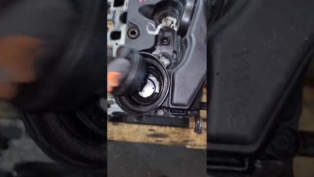 Спортовая Магия