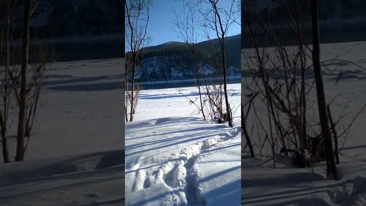 В поход выходного дня на лыжах #shorts