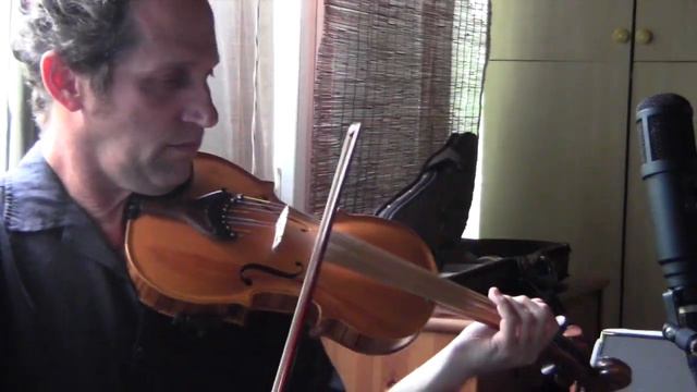 Double-String Violin - Daniel Hoffman
