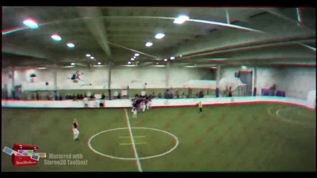 Vikings 2010 Indoor Soccer   3D