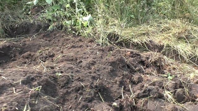 ЭТО ПРОСТО НЕВОЗМОЖНО БЫЛО НАЙТИ ТУТ. Коп монет и артефактов.