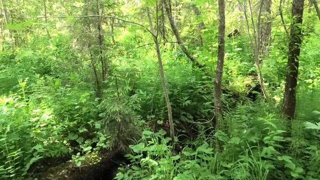 89b17a1a8b4788078cca6c34cf50e413