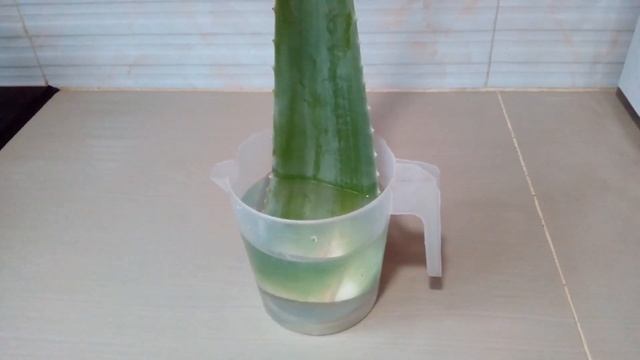 914c59be621459fde4ac7a3a43737e37