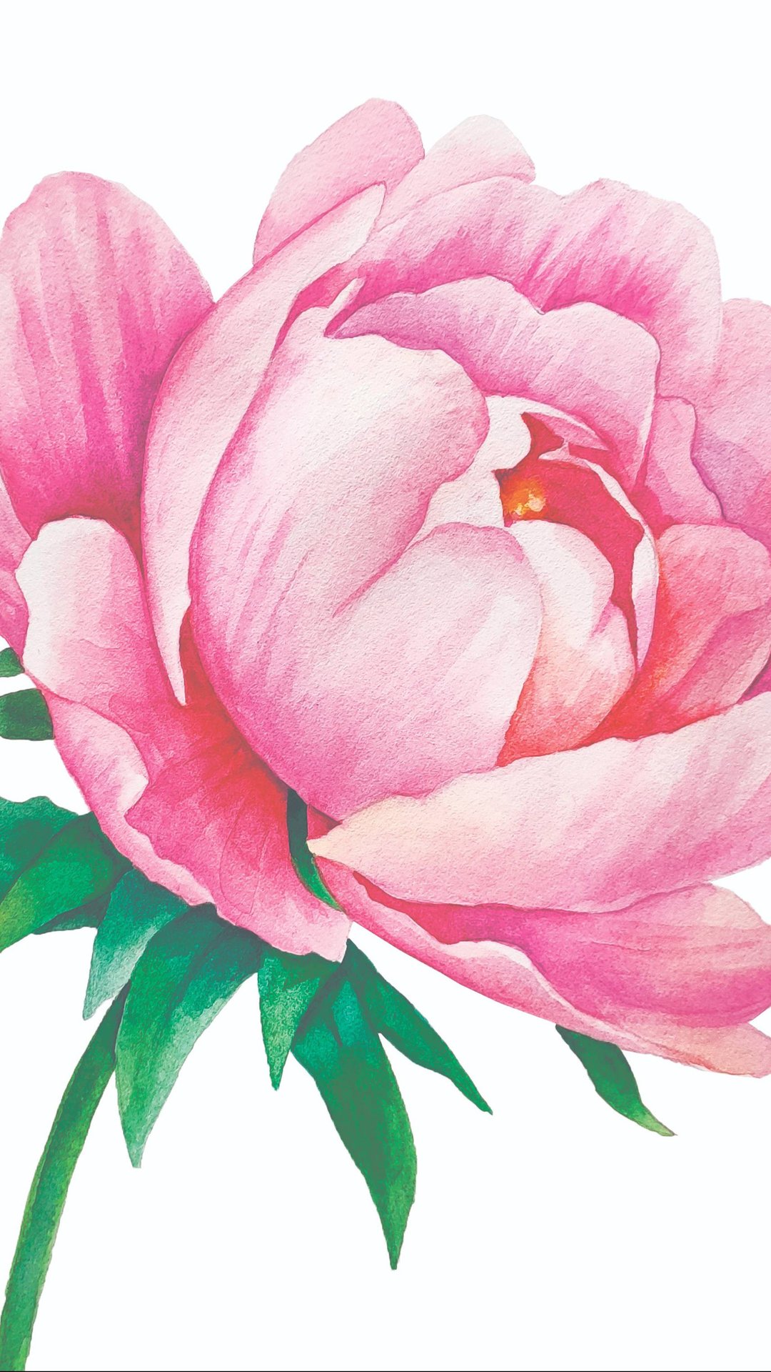 04e9b5b5d313fe3c07287afa6c18aaac