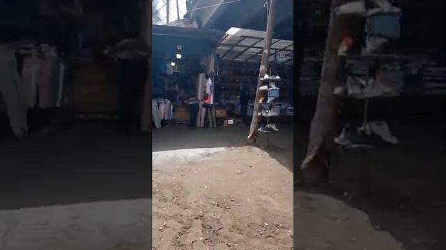 Самара Кировский рынок