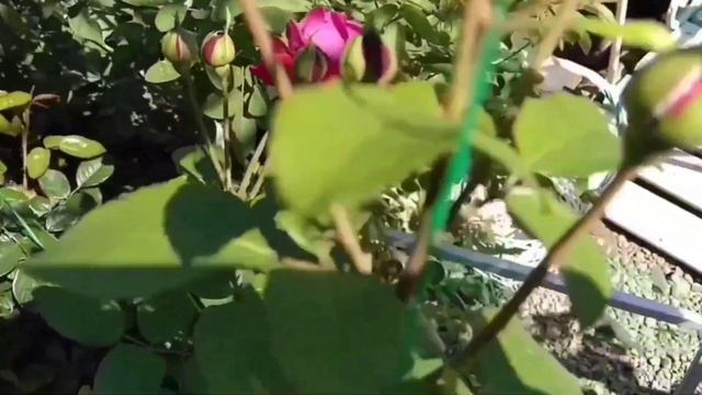 D2742413eb0d13c3f5212c127d4a29f9