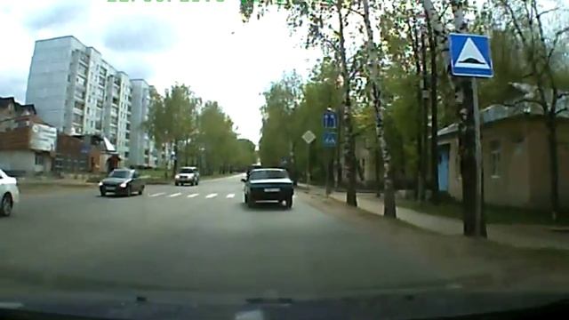 Собака на зебре