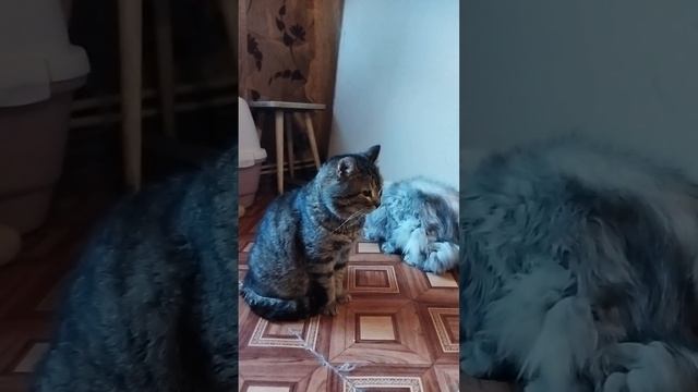 МОЙ ДРУГ, ТЫ ИНОГДА МНЕ СНИСЬ....??