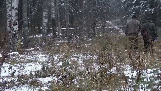 Русская гончая Набат-VI ВПКОС 4217/14 вл.Шатров Е. А. дип. III ст. 67 баллов з/б.