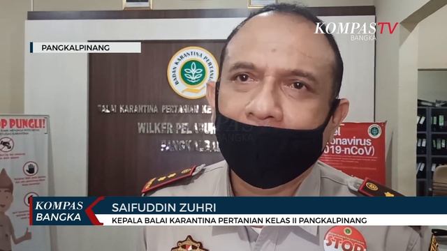 Petugas Gagalkan Upaya Penyelundupan 430 Ekor Burung Kolibri