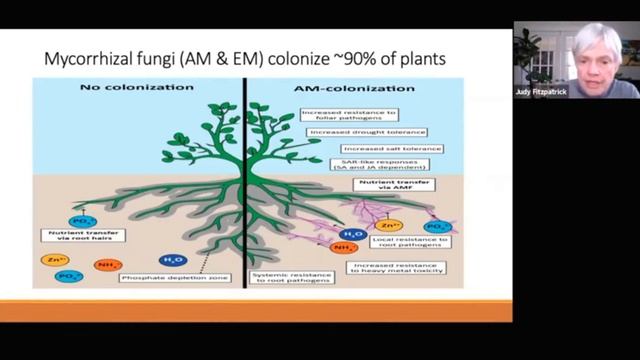 Dr  Judith Fitzpatrick Забота о микробах почвы - это забота о себе.