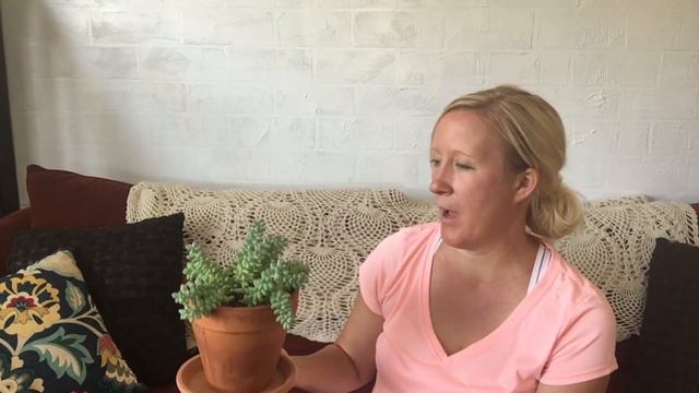 Easiest Houseplants | Houseplants For A Beginner |  Top 7 Easiest Houseplants