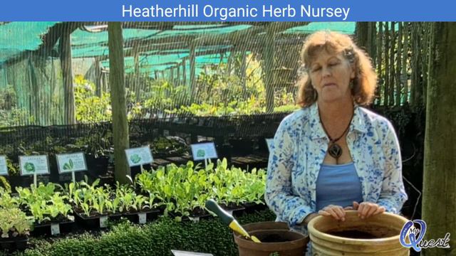 MyQuest - Heatherhill Herb Nursery Vloggumentary