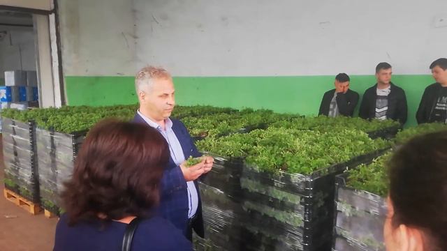 Практический семинар для студентов Аграрного факультета  Тепличный комплекс ,Молдавия г  Кишинёв