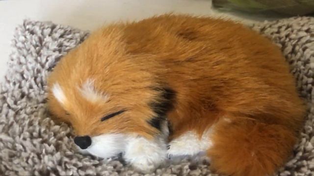 НОСТАЛЬГИЯ по Прошлому 😌 Зашла Wildberries/Это не берите !!Веня чуть не задохнулся