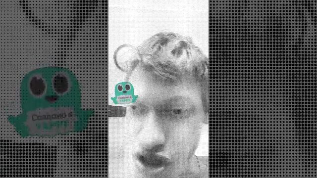 Стих о мире