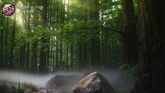 Gentle Ambient Guitar Music | Sleep Relaxation Meditation