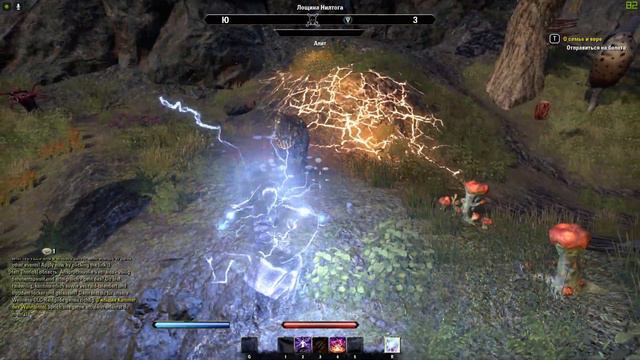 The Elder Scrolls Online #8