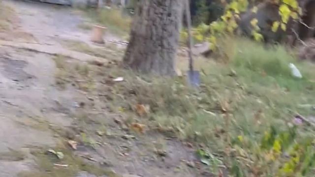 Проведала щенка, которого отдала в Добрые руки почти пол года назад.