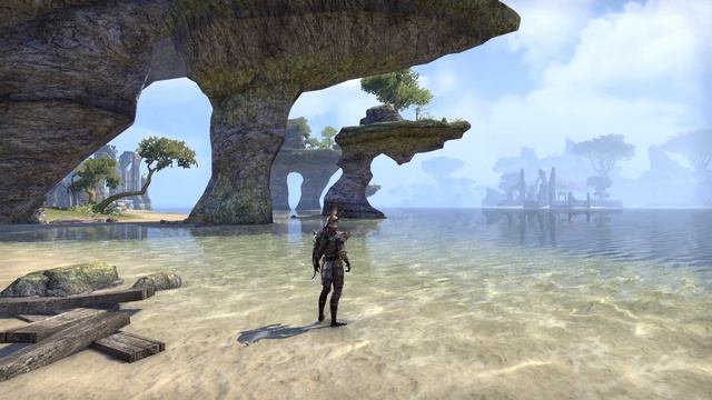 Elder Scrolls Online. Цикл 