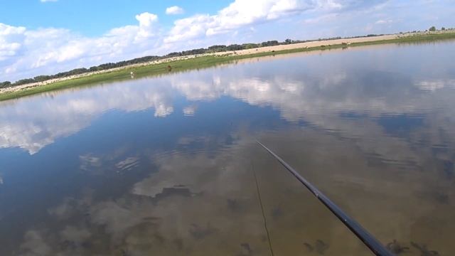 Рыба и Друзья