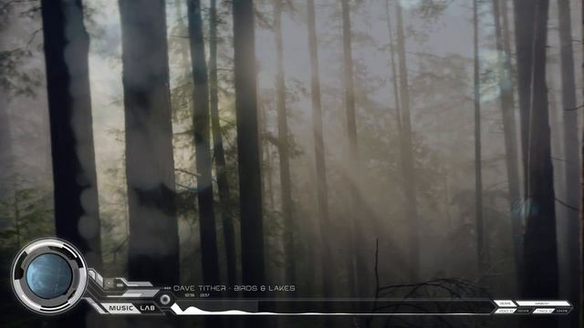 Relaxing Forest Sounds — Woodland Ambient Music.mp4