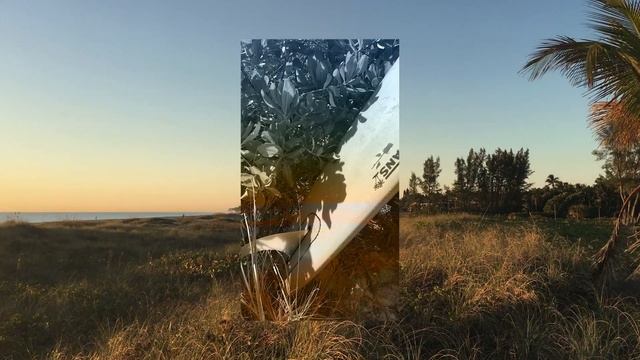 Brett Staska - Low Stepper