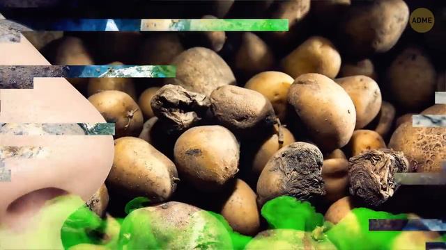 Почему не стоит класть ноги на приборную панель авто