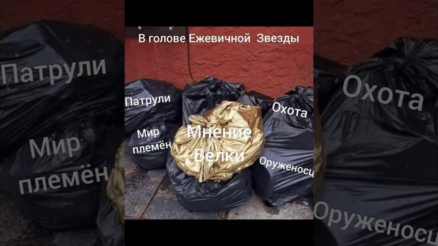 Озвучка приколов по КВ 3 часть.