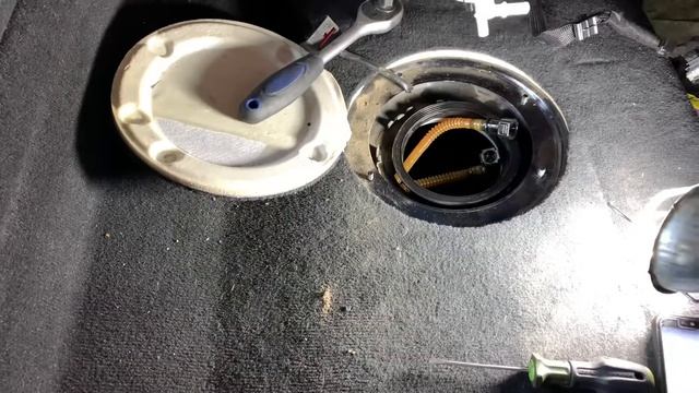 Ресницы, которые притягивают внимание