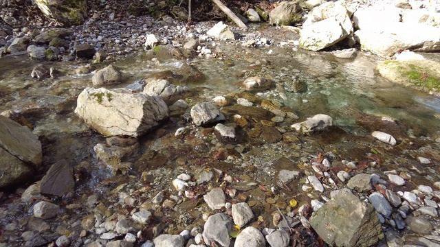 7ea5f106efc1d5964f8c9cd850fa9b2f