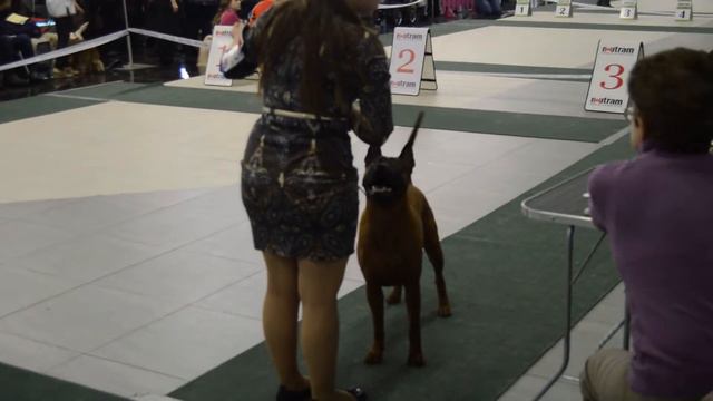 Балтийский триумф 2016г